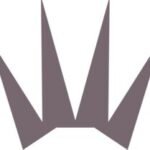 Triumph International SA